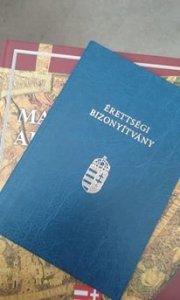 13669077_198394180563182_2199028639381786567_n